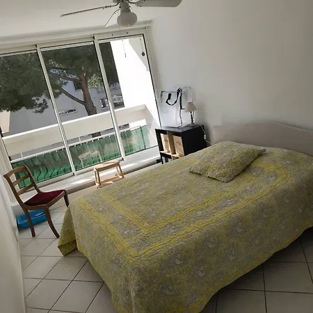 Апартаменты Au Centre Ville, T4 Climatise Avec Parking N72 Ла-Гранд-Мот